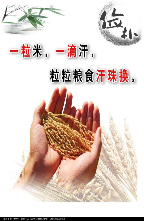 罗彻斯特大学EnvironmentalScienceDegreeCertificate